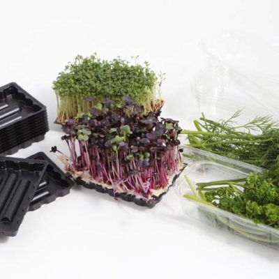 Kunststoffschalen für Gartenkräuter mit passender Faltschachtel